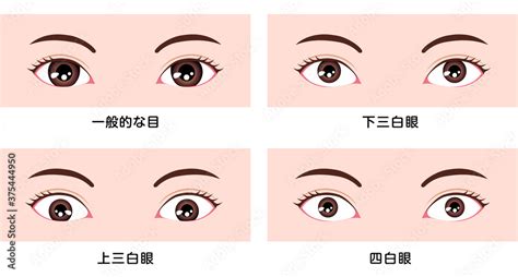 桃花眼 三白眼|目の形はどんな種類がある？ 特徴別の目の形とその作り方 